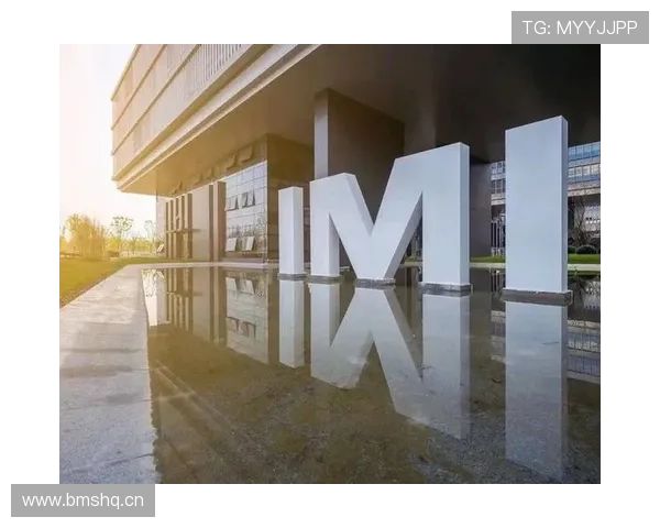 IM体育网站安全可靠性分析保障玩家资金与信息安全的关键措施